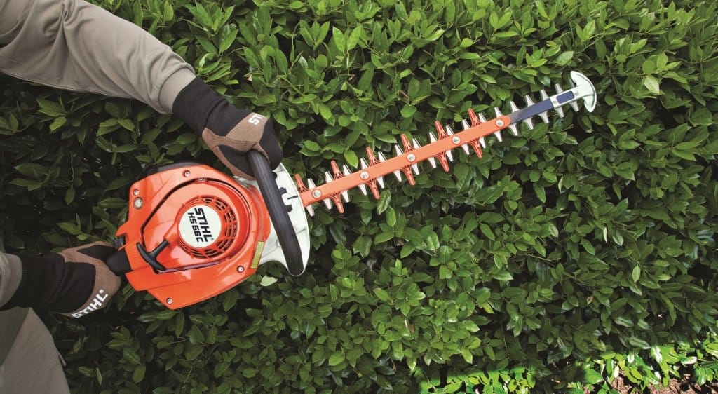Les bons gestes pour réussir la taille de votre haie Les bons gestes pour réussir la taille de votre haie